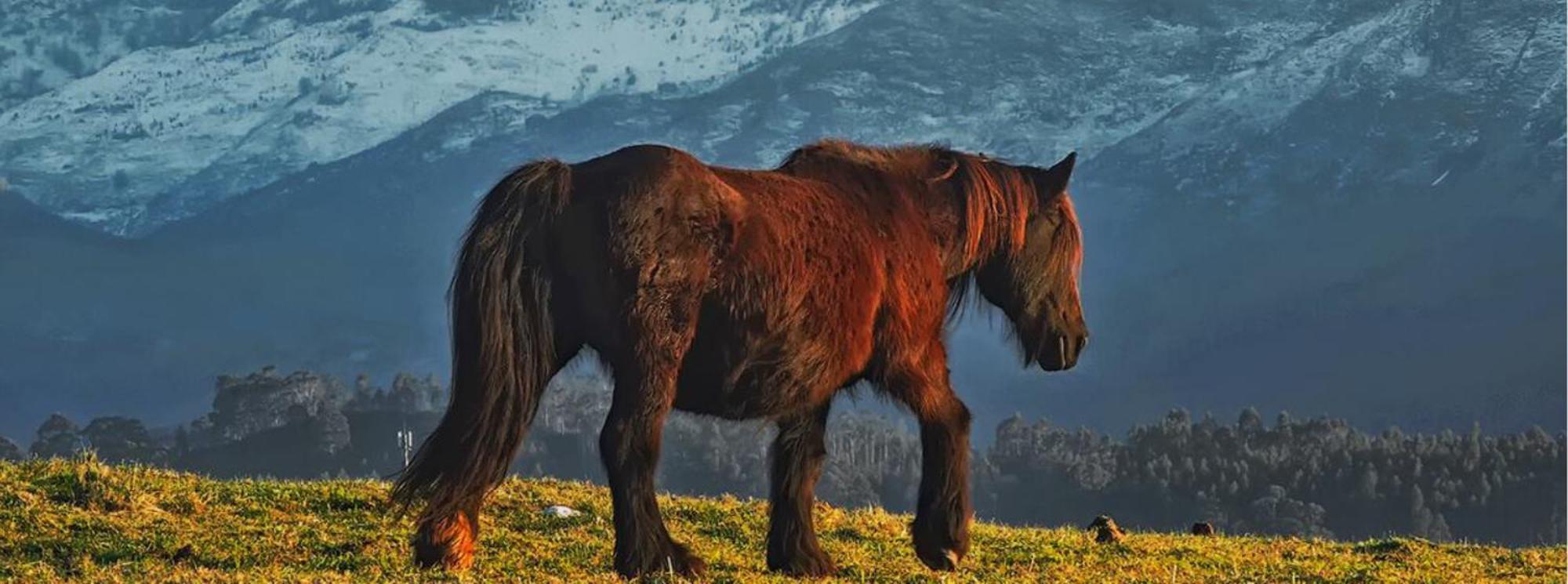 Вилла El Pedroso De Llanes Villahormes Экстерьер фото